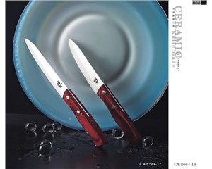 ���õ���CW8204-12/CW8004-10��
