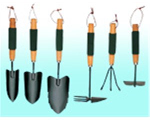 ��԰����ϵ��