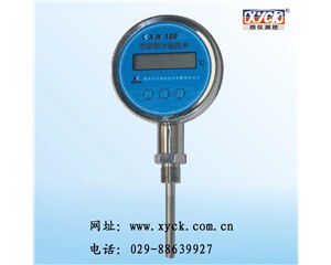 �����������¶ȱ���XW-100